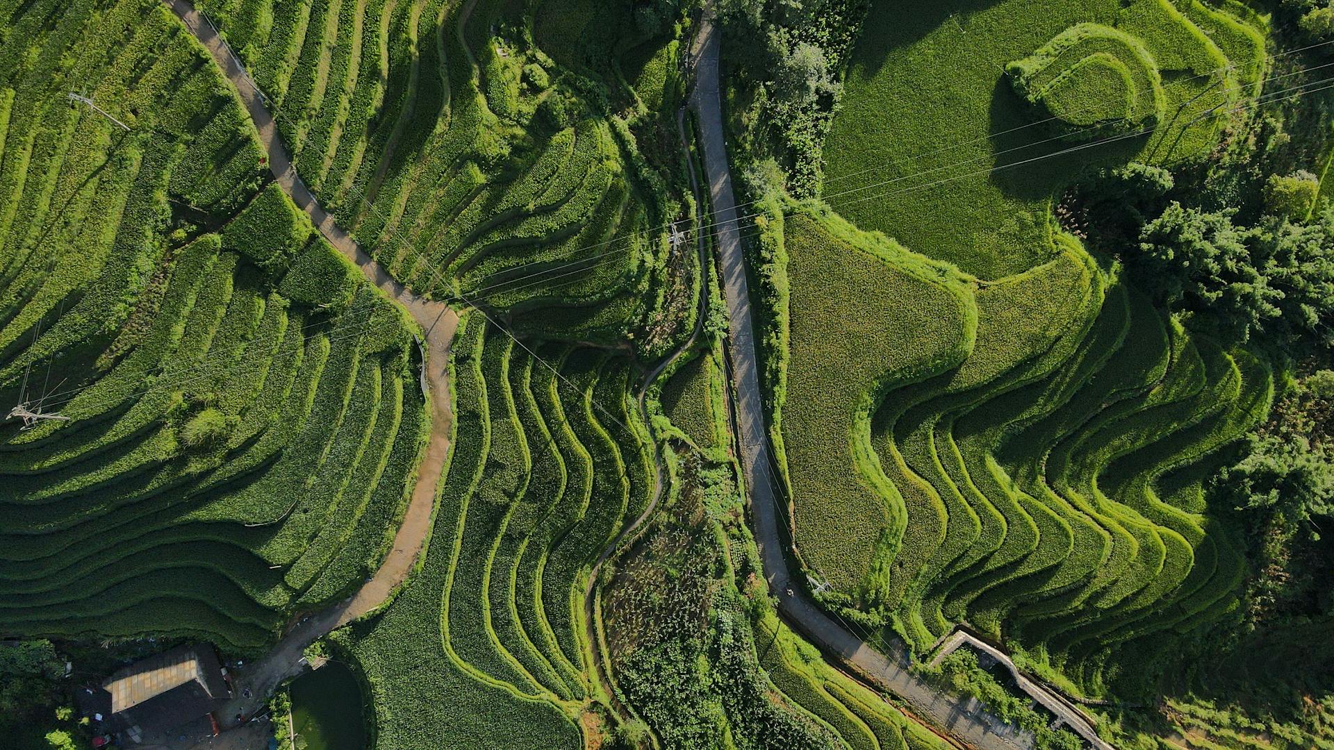 Start your historical journey with Lao Chai’s serene glow